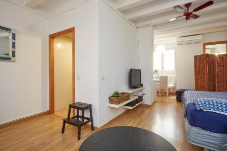 Studio zur Miete in Barcelona Sant Bonaventura - Santa Anna