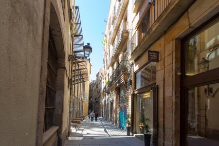 Wohnung zur Miete in Barcelona Palla - Plaza Catedral