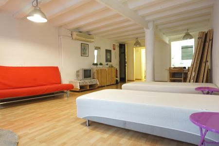 Appartamento in Affitto a Barcelona Del Pi - Portaferrissa