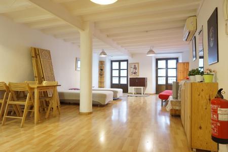 Appartamento in Affitto a Barcelona Del Pi - Portaferrissa