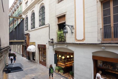 Appartamento in Affitto a Barcelona Del Pi - Portaferrissa