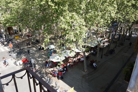 Appartamento in Affitto a Barcelona Providència - Plaça Rovira