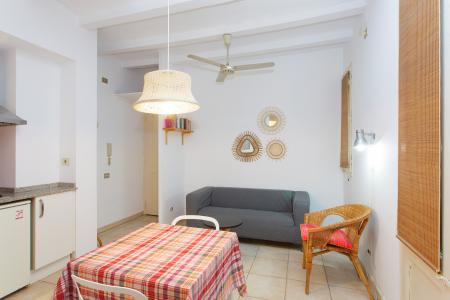 Accogliente monolocale in affitto in via Grau I Torras