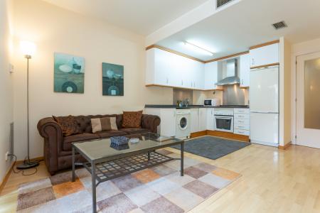 Spazioso appartamento in affitto a Sants-Montjuïc