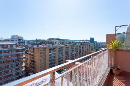 Àtic en Lloguer a Barcelona Rambla Badal - Plaza Ildefons Cerda (9 Months Min)