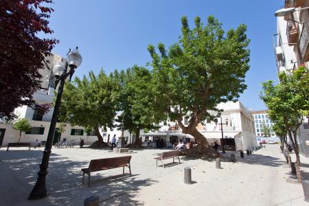 Appartamento in Affitto a breve termine a Barcelona Laberint - Playa Marbella