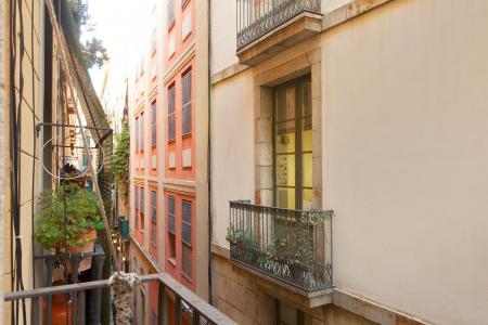 Pis en Lloguer a Barcelona Quintana - Plaza Real (min 6 Meses)