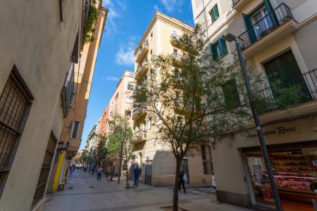 Piso recién reformado en Andrea Doria - Playa Barceloneta