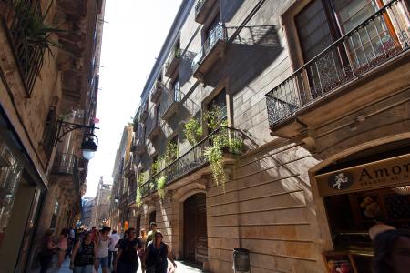 Grandioso piso de alquiler en carrer Fortaferrissa-Rambla