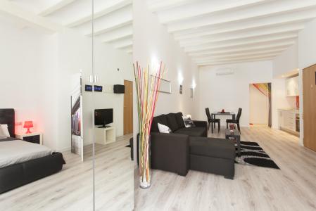 Loft te koop in Barcelona Roig - Hospital