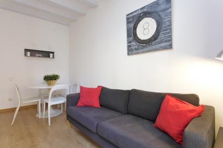 Appartement te huur in Barcelona Hospital - Ramblas
