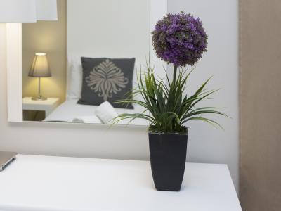 Appartement rénové proche de la Plaza de España