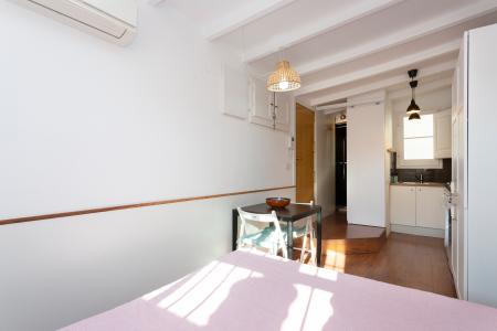 Pis en Lloguer a Barcelona Rec - Passeig Del Born