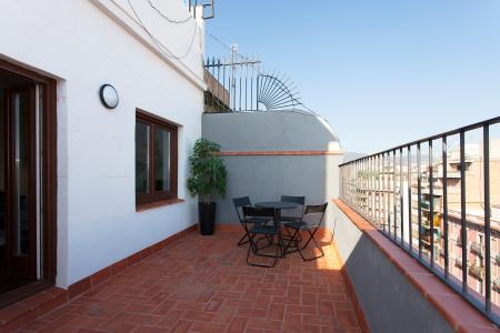 Magnifique penthouse de 3 chambres avec terrasse à louer