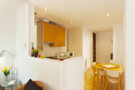 Appartement te Korte termijn huren in Barcelona Passatge Del Baró De Griñó - Sants