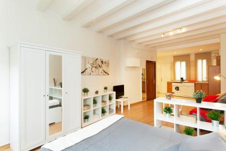 Studio te huur in Barcelona Hospital - Ramblas