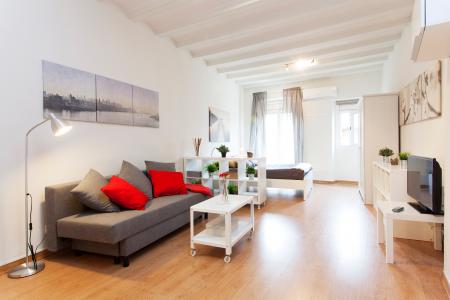 Studio te huur in Barcelona Hospital - Ramblas