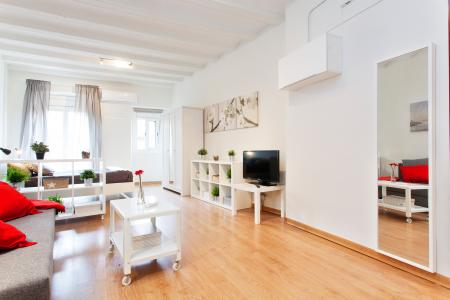 Studio te huur in Barcelona Hospital - Ramblas