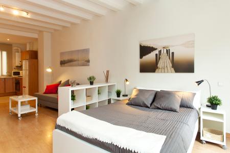 Studio te huur in Barcelona Hospital - Ramblas