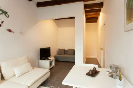 Wohnung zur Miete in Barcelona Llacuna - Dr. Trueta (special Conditions)