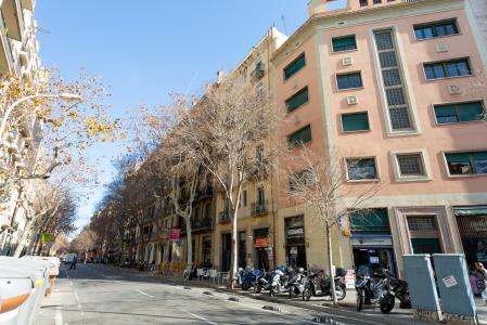 Pis en Lloguer a Barcelona Consell De Cent - Passeig Sant Joan