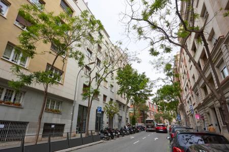 Ampio appartamento in affitto in via Benet I Mateu