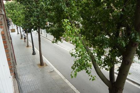Pis en Lloguer a Barcelona Guardiola I Feliu - Lanzarote