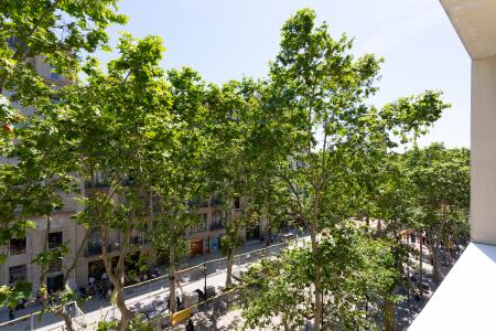 Interessante appartamento in affitto sulla Rambla