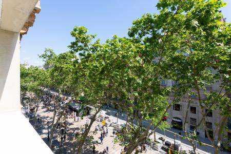 Interessante appartamento in affitto sulla Rambla