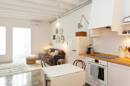 Appartement te huur in Barcelona Bruniquer - Vila De Gracia