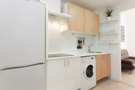 Pis en Lloguer a Barcelona Mozart - Rius I Taulet