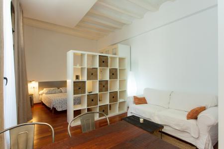 Loft te huur in Barcelona Trompetes - Via Laietana