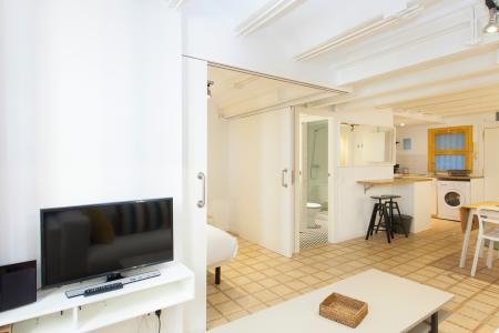 Appartement te huur in Barcelona Monec - Borne