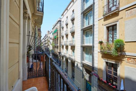 Loft в аренду в Barcelona Carme - Rambles