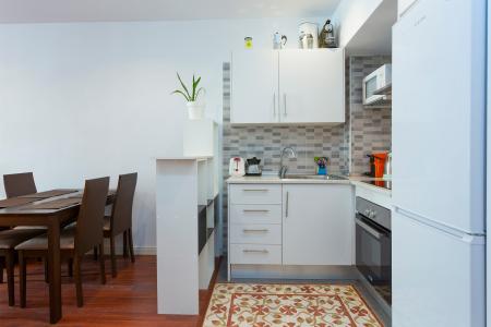 Loft con balcón de alquiler en el barrio Raval