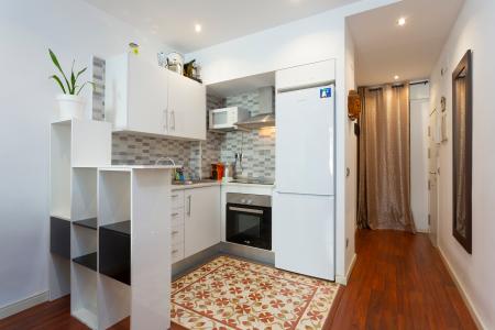 Loft con balcón de alquiler en el barrio Raval