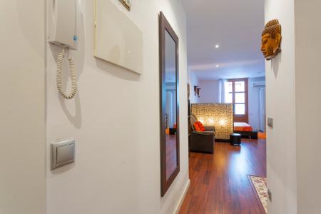 Loft con balcón de alquiler en el barrio Raval