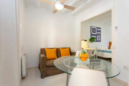 Appartement te Korte termijn huren in Barcelona Mozart - Rius I Taulet