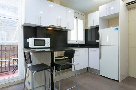 Квартира в аренду в Barcelona Gine I Partagas - Barceloneta