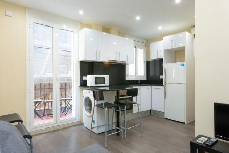 Квартира в аренду в Barcelona Gine I Partagas - Barceloneta