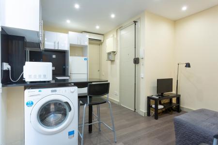 Квартира в аренду в Barcelona Gine I Partagas - Barceloneta