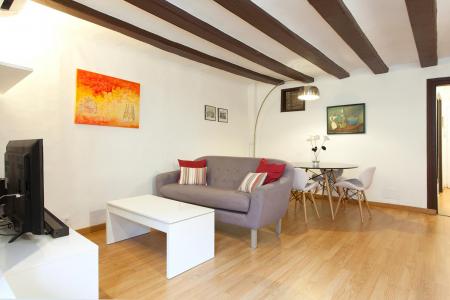 Appartement te huur in Barcelona Assaonadors - Princesa