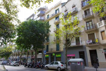 Appartamento in Affitto a breve termine a Barcelona Napols - Consell De Cent