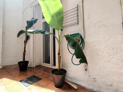 Dúplex in Affitto a Barcelona Larrard - Rambla Mercedes (precio Alarma Incluida)