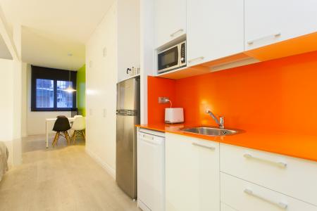 Appartement te huur in Barcelona Passatge Valeri Serra-diputació (parking Optional)