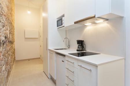 Студия в аренду в Barcelona Enamorats - Diagonal