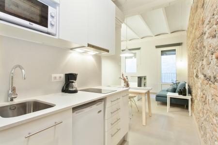 Студия в аренду в Barcelona Enamorats - Diagonal