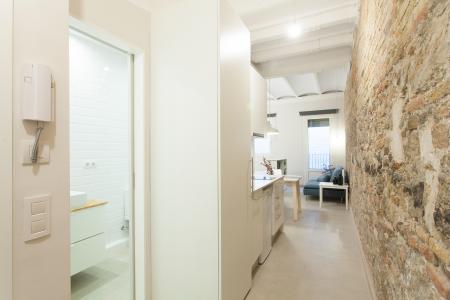 Студия в аренду в Barcelona Enamorats - Diagonal