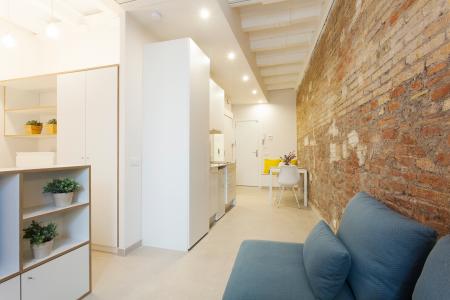 Si affitta luminoso monolocale in via Enamorats - Av. Diagonal