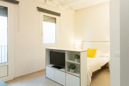 Si affitta luminoso monolocale in via Enamorats - Av. Diagonal